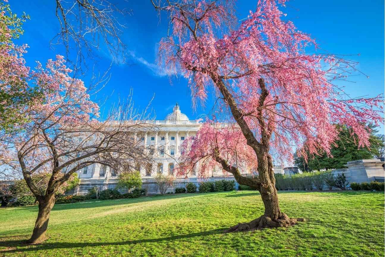 Tour Blog things to do in Washington DC